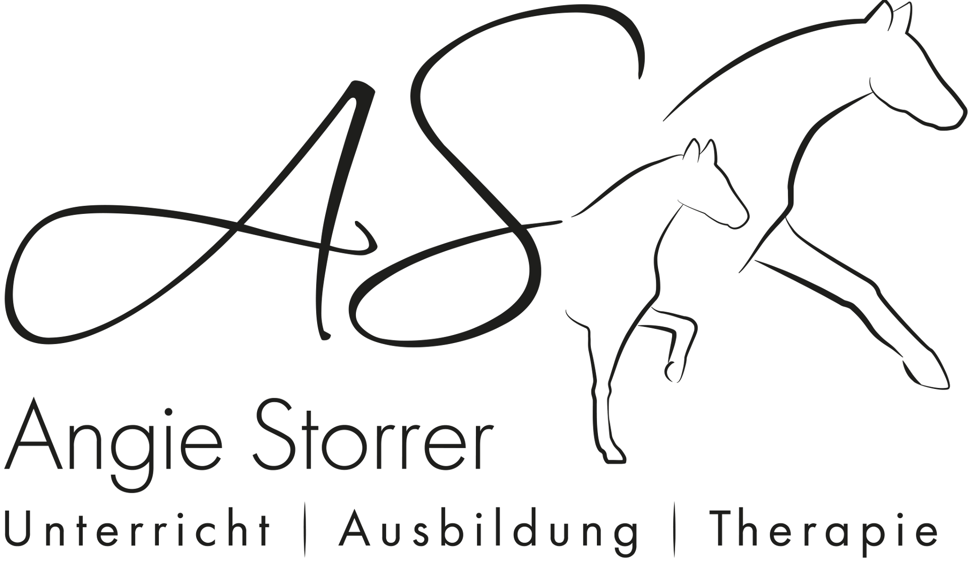 Logo Angie Storrer